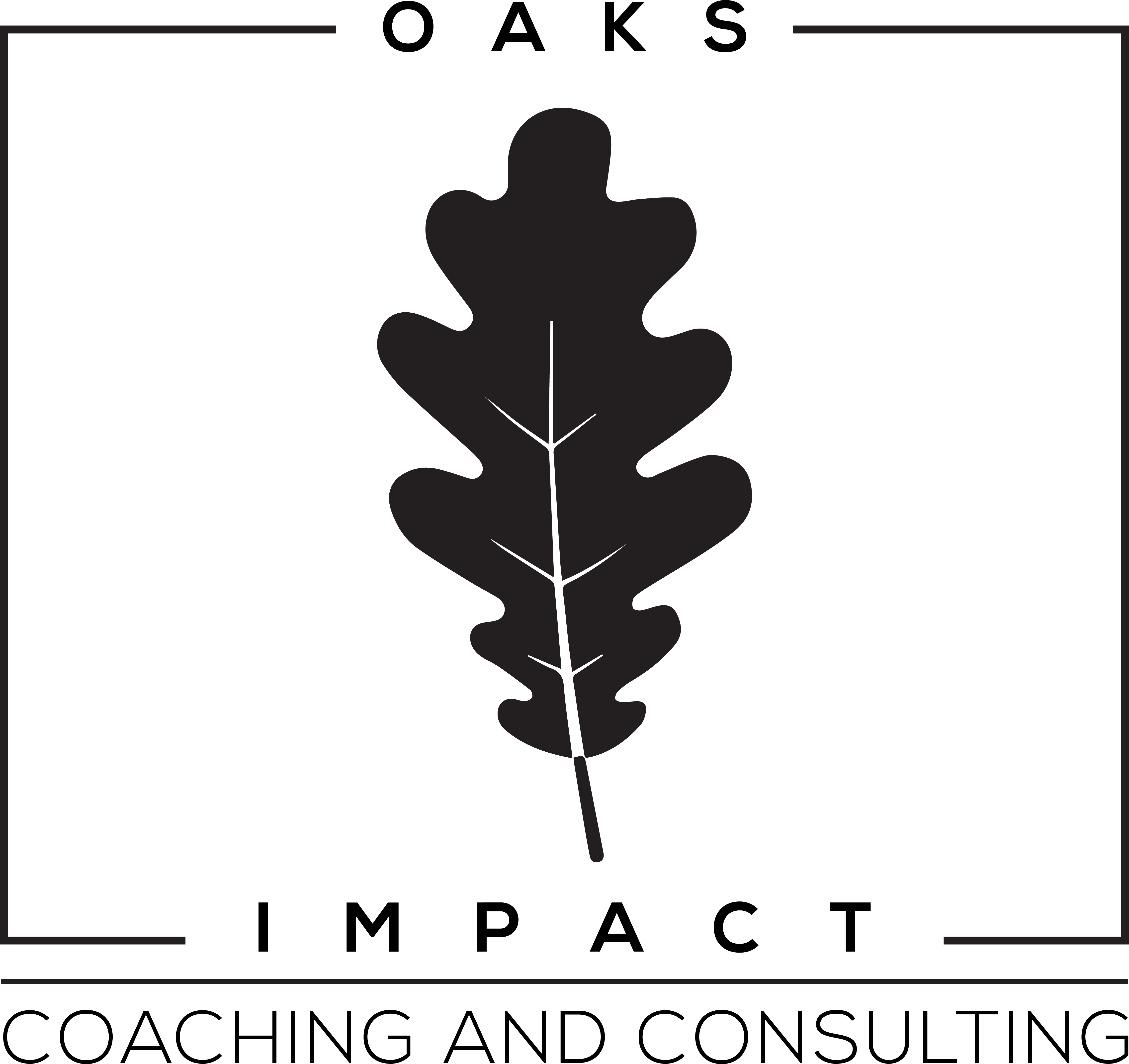 Oaks Impact Wordpress Site